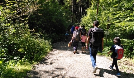 Erwachsene und Kinder von hinten auf einem Waldweg