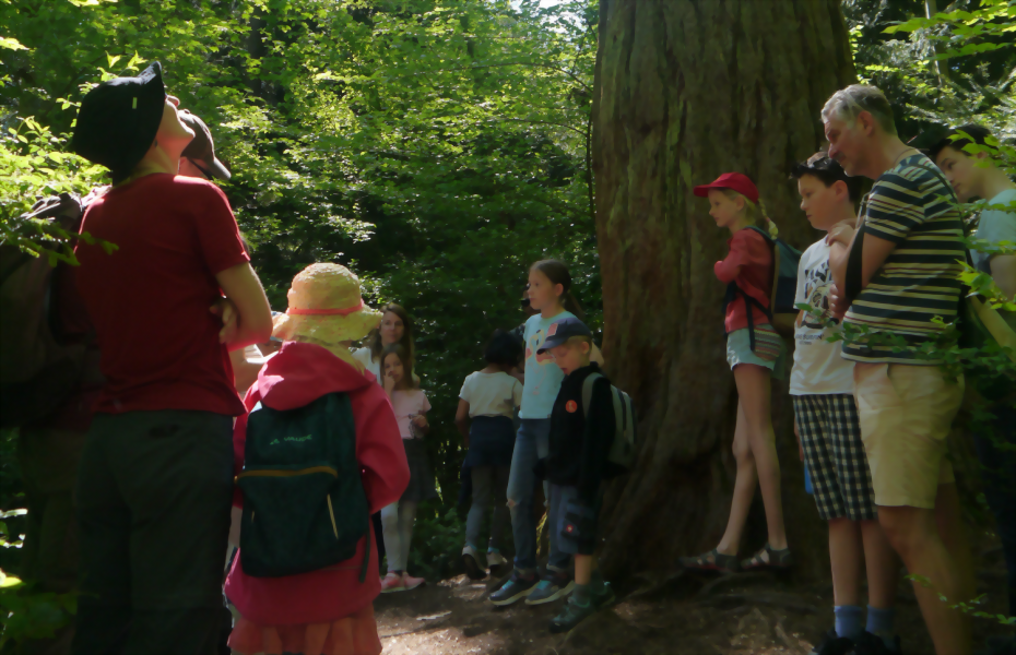 Menschen um Baum herum 