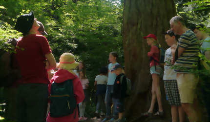 Menschen im Wald 