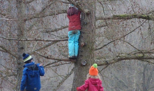 Auf Baum kletternde Kinder